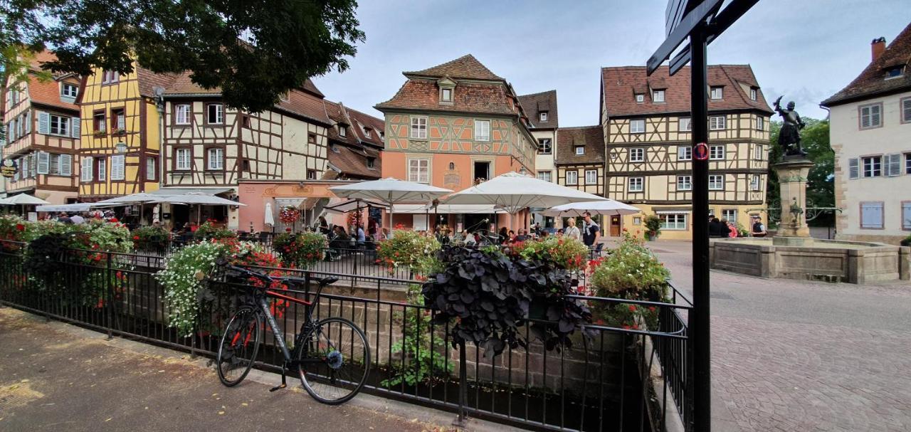 Le Green St Léon : Lit Queen Size * WIFI * Idéal Couple Colmar Exterior foto